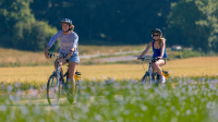 Balade accompagnée à vélo (mai à vélo)